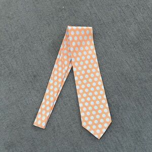 Ermenegildo Zegna Tie